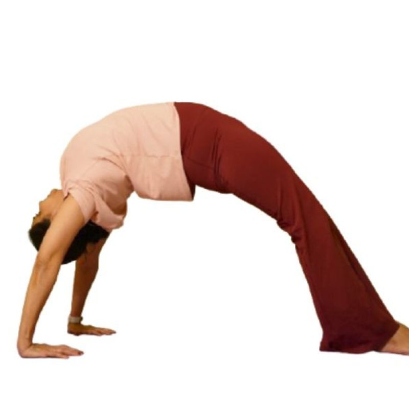 Classes whatsapp image 2025 12 29 at 4.19.16 pm (2)