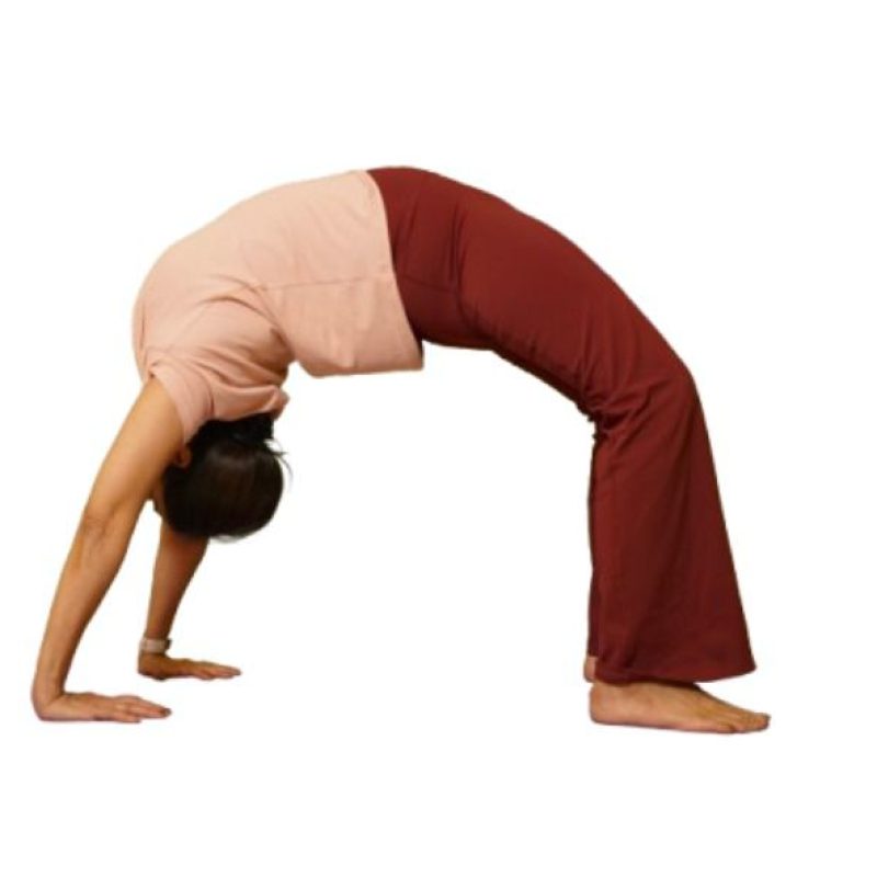 Classes whatsapp image 2025 12 29 at 4.19.16 pm (3)